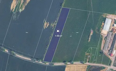 Prodej louky 7 295 m², Borkovice, okres Tábor