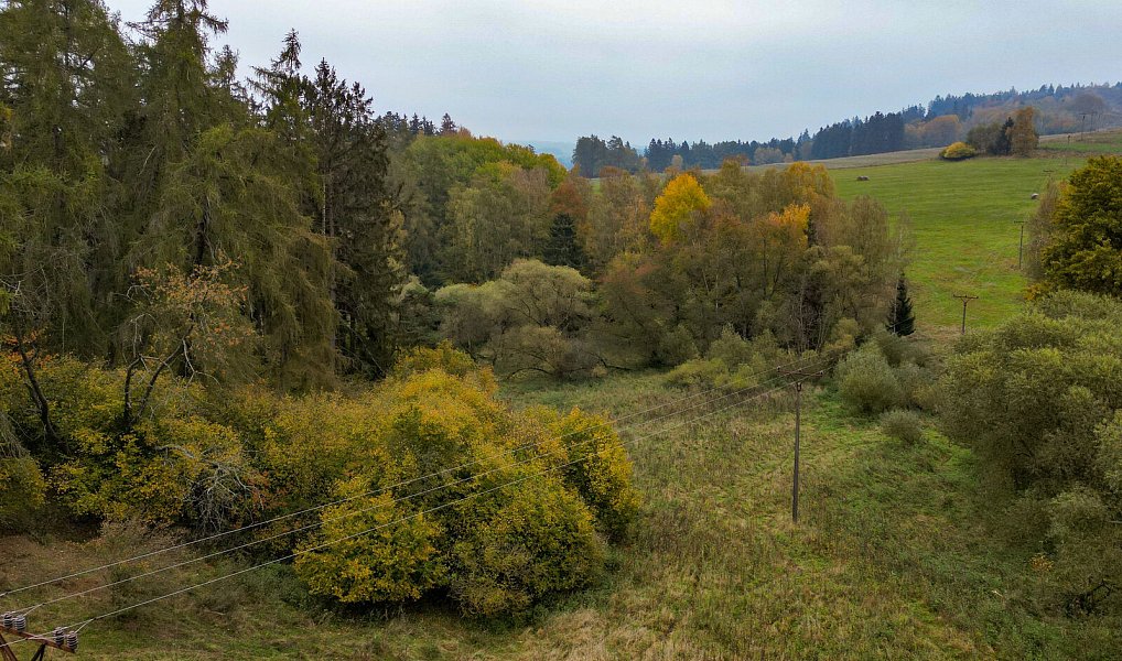Prodej pozemku 15 970 m², Planá – náhled fotky 28