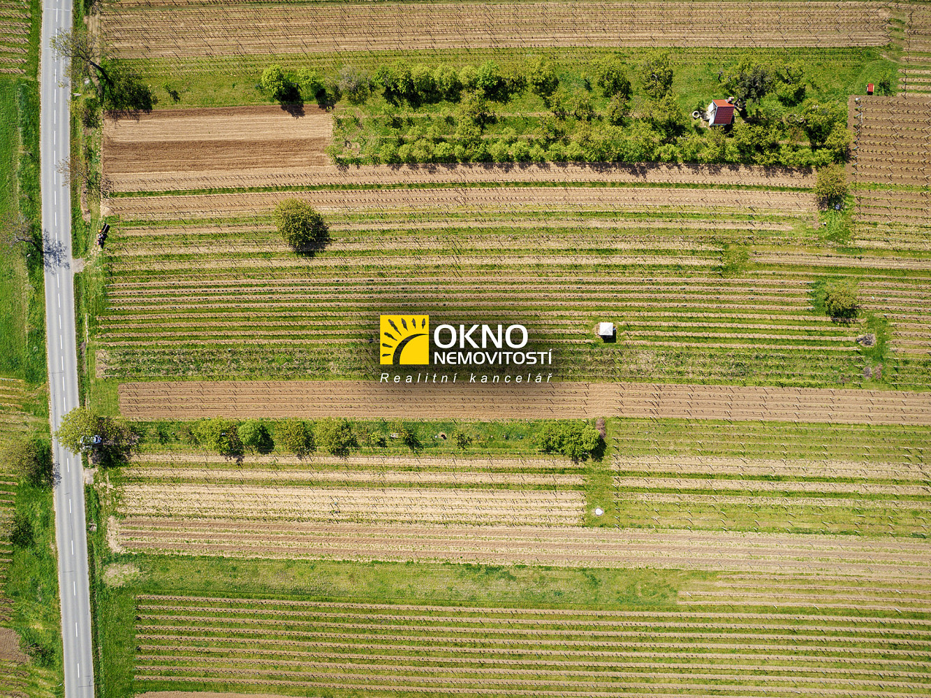 Rovinný pozemek - vinice – pohled 3