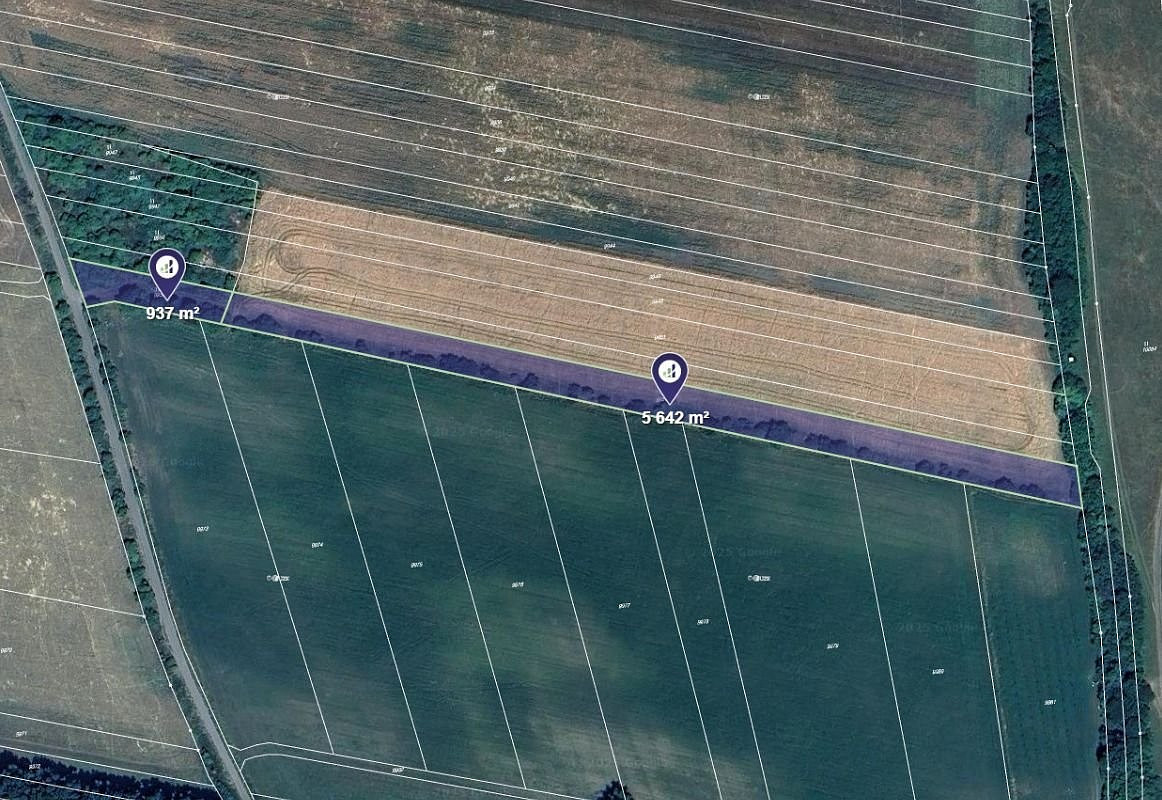 Prodej pole 6 579 m²