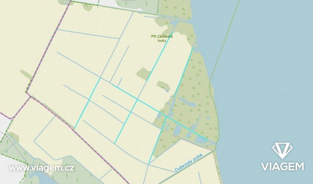 Prodej pole 7 056 m², Záblatí – náhled fotky 2