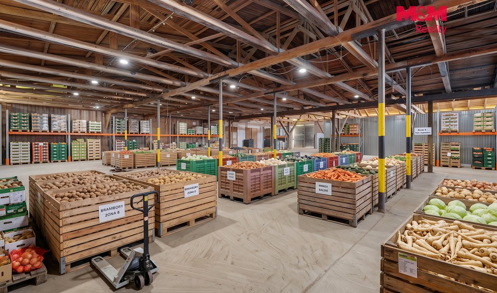 Prodej skladovacích prostor 3 308 m², Benátky nad Jizerou – náhled fotky 8