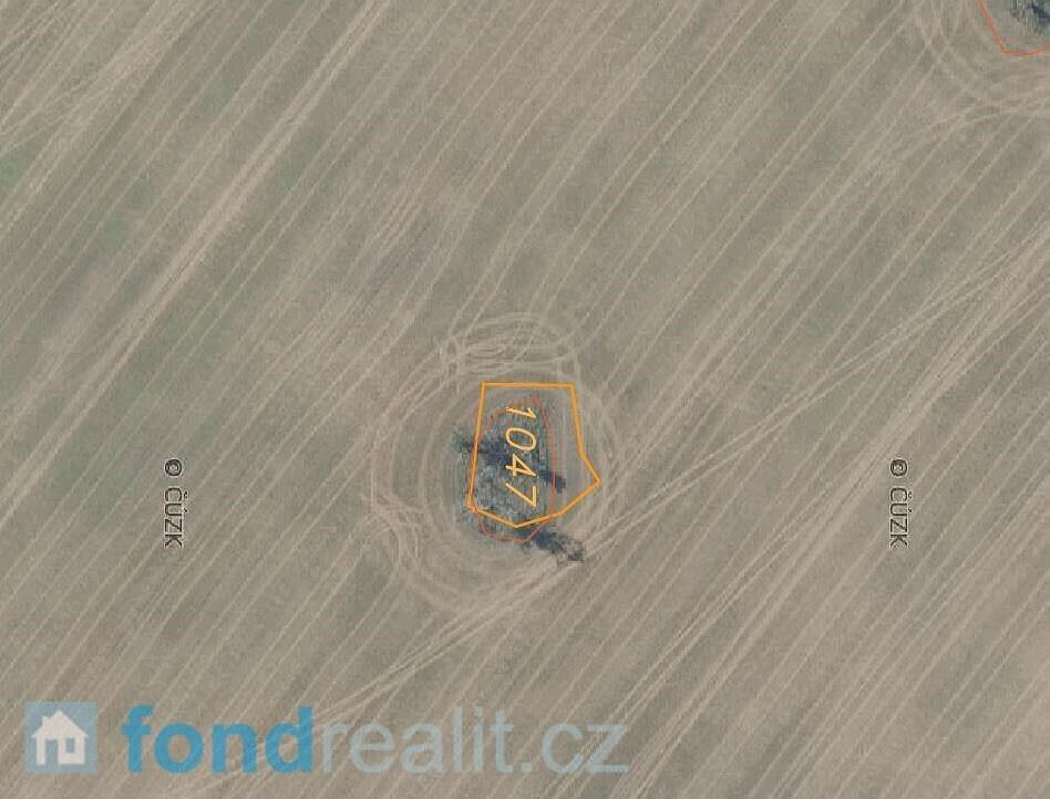 Prodej pole 7 831 m² – fotografie 5