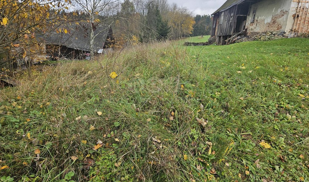 Prodej louky 1 636 m², Hanušovice – náhled fotky 7