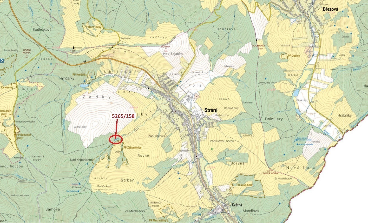 Dražba lesa 1 065 m²