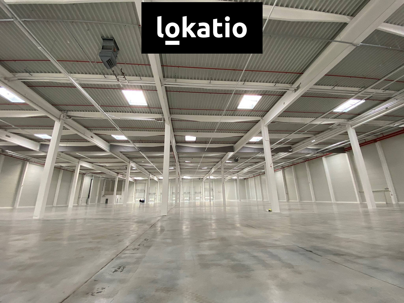 Pronájem skladovacích prostor 4 323 m² — photo 3