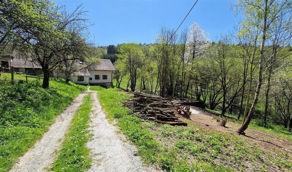 Prodej stavebního pozemku 1 417 m², Radčice – náhled fotky 12