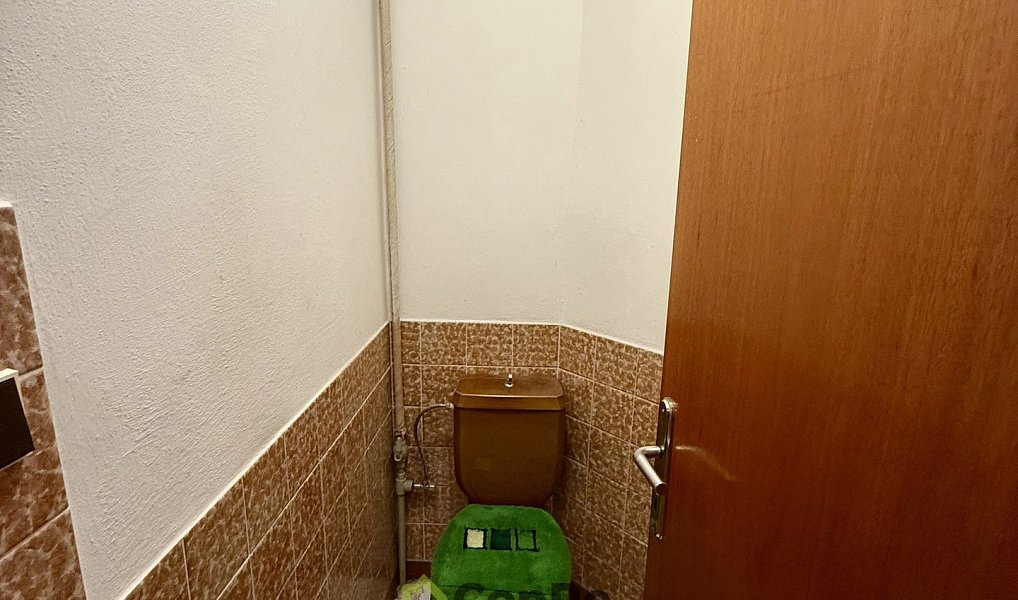 Prodej domu 297 m² s pozemkem 2 452 m², Provodín – náhled fotky 22
