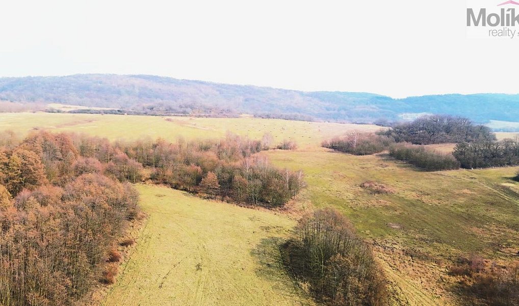 Prodej pole 25 190 m², Ústí nad Labem – náhled fotky 2