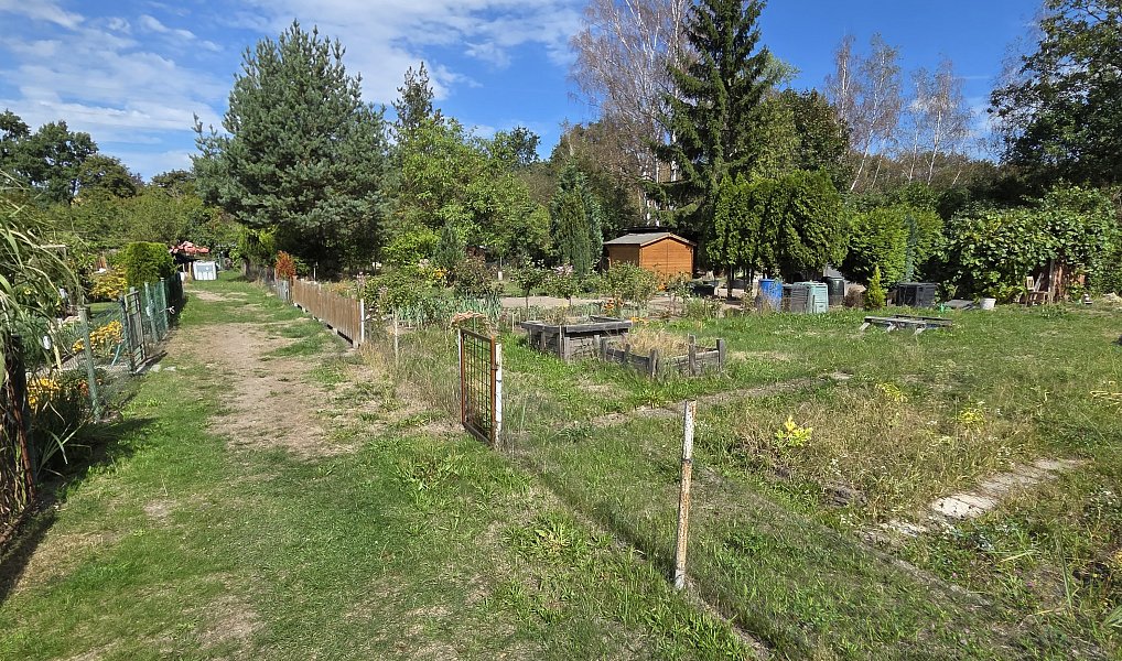 Pronájem zahrady 200 m², Rybitví – náhled fotky 9