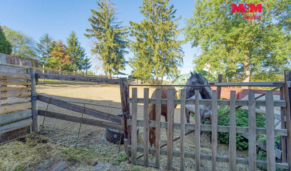 Prodej domu 70 m² s pozemkem 2 389 m², Čečovice – náhled fotky 23