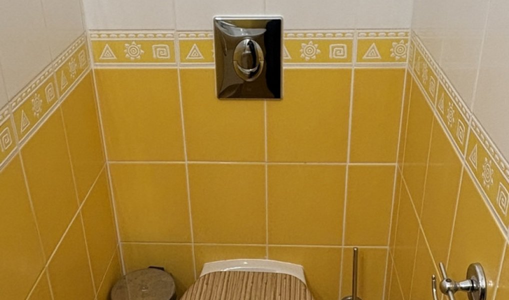 Pronájem domu 90 m² s pozemkem 161 m², Hartmanice – náhled fotky 17