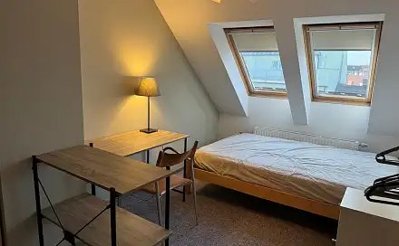 Pronájem pokoje 13 m², Gorkého, Brno - Veveří