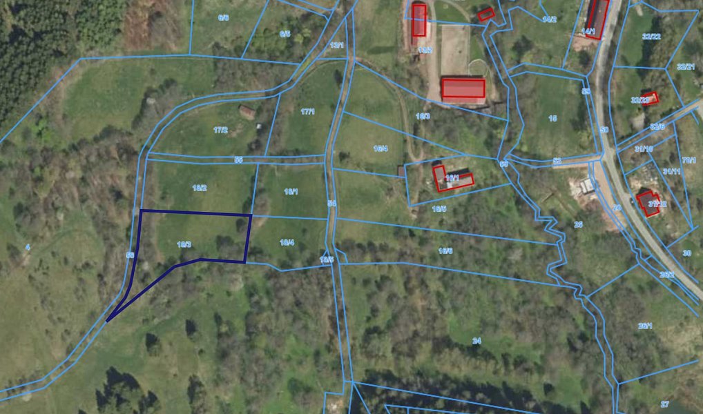 Prodej stavebního pozemku 3 446 m², Olešnice v Orlických horách – náhled fotky 6