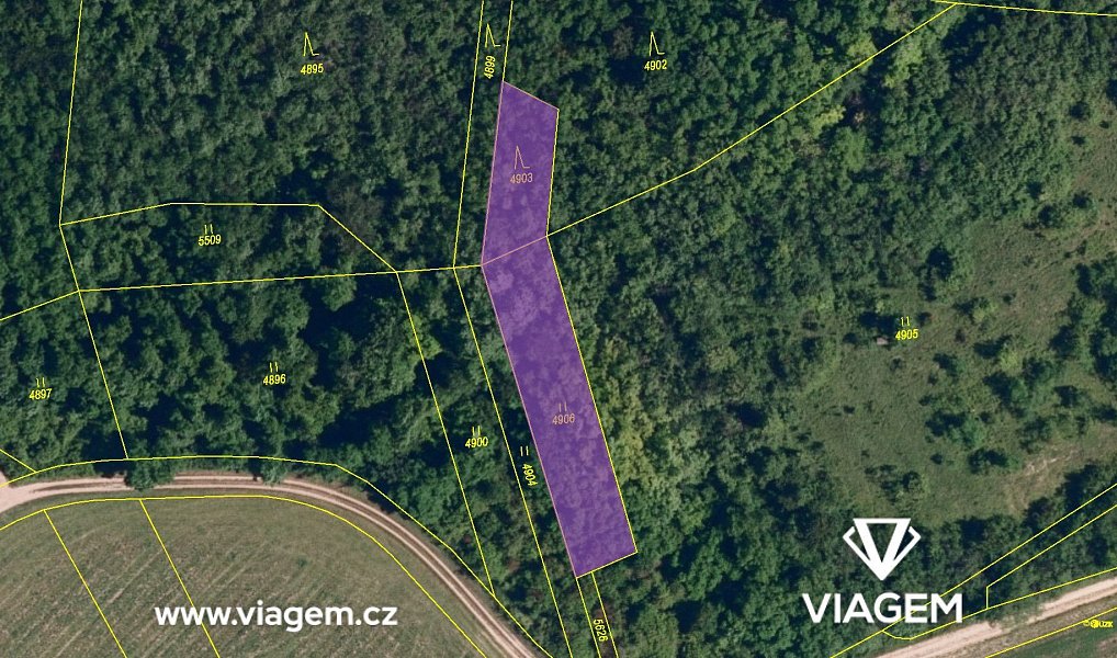 Prodej lesa 628 m², Lovčičky – náhled fotky 4