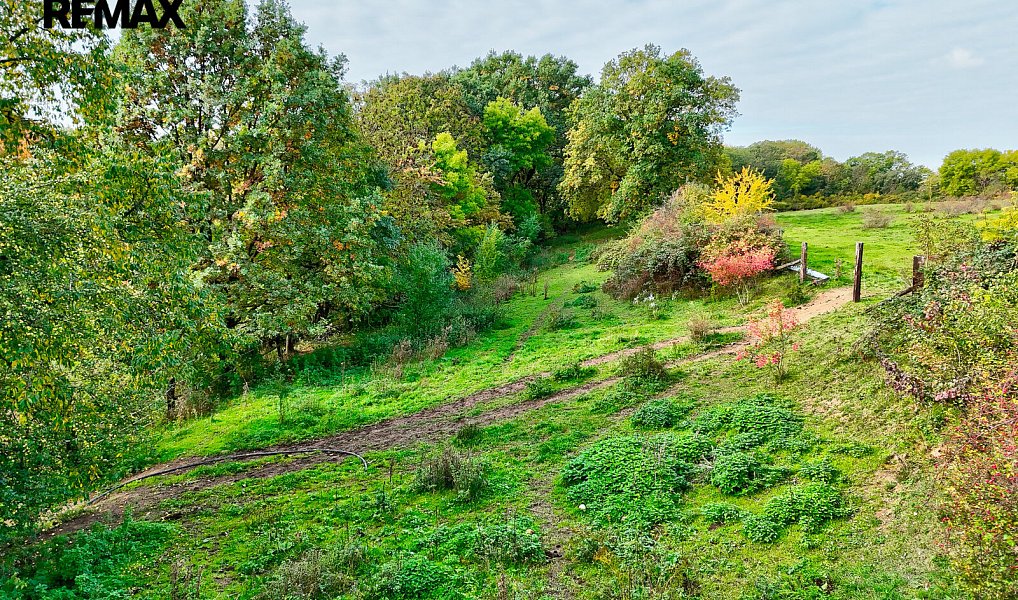 Prodej zahrady 2 644 m², Škvorec – náhled fotky 14