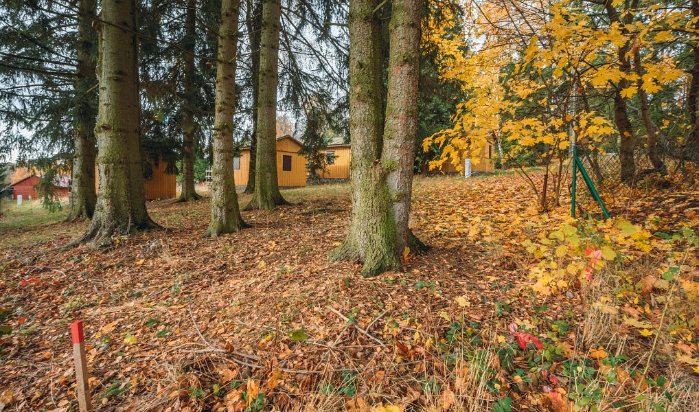 Prodej chaty/chalupy 21 m² s pozemkem 320 m², Seč – náhled fotky 17