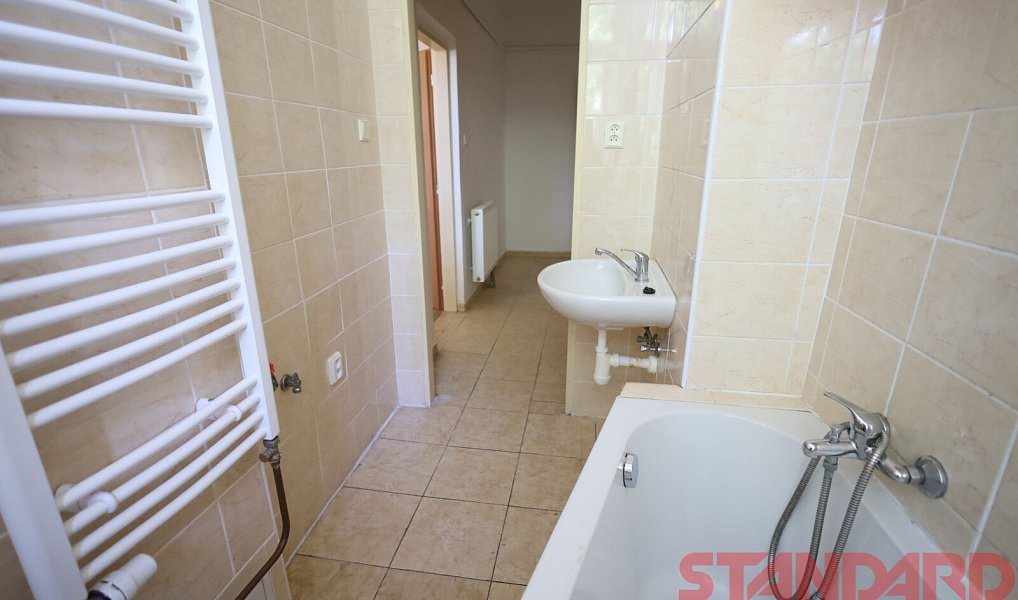 Pronájem bytu 1+1 45 m², Plzeň – náhled fotky 6