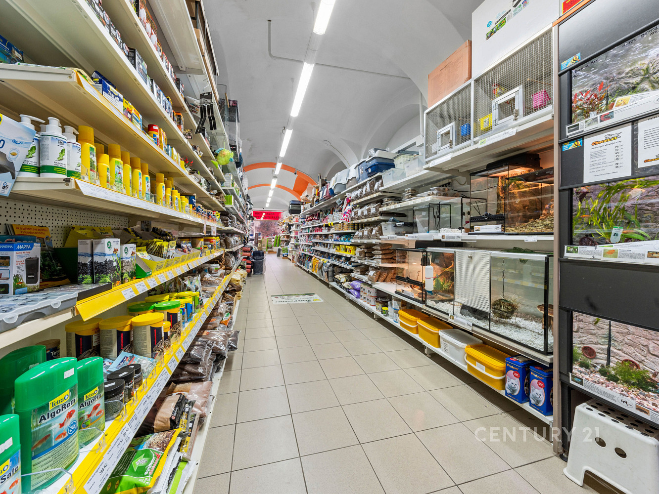 Prodej komerčního objektu (jiného typu) 800 m² – fotografie 4