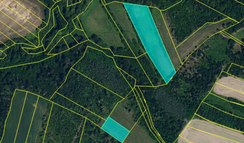 Prodej pole 54 498 m², Běhařovice – náhled fotky 11