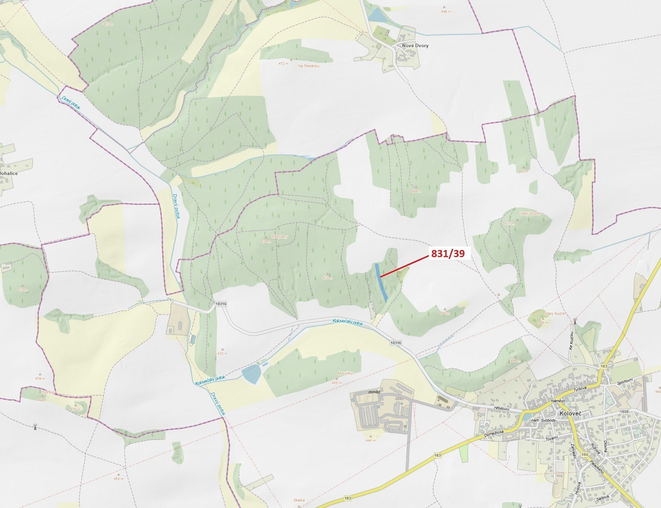 Dražba lesa 3 368 m²