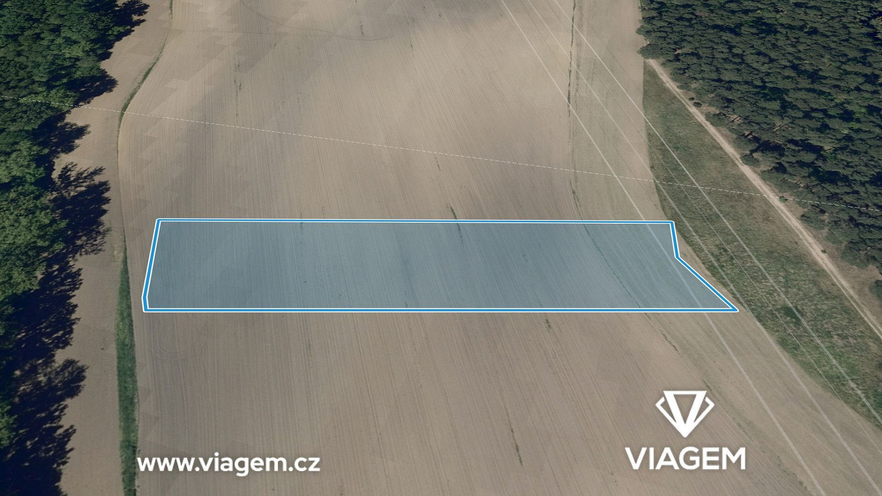 Prodej pole 1 446 m² – fotografie 2