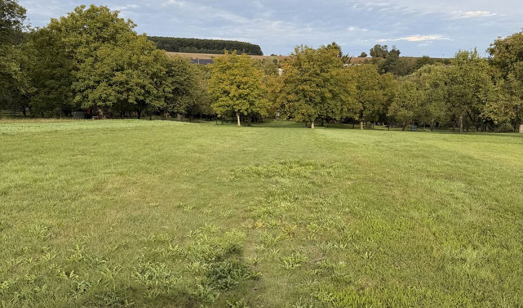 Prodej chaty/chalupy 40 m² s pozemkem 1 863 m², Líšná – náhled fotky 6