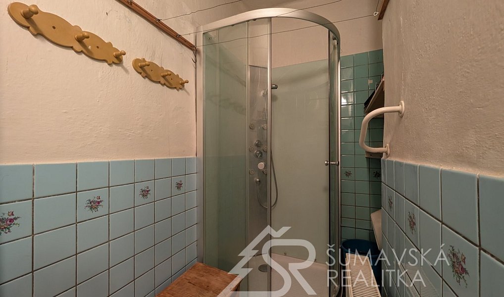 Prodej domu 1 020 m² s pozemkem 1 065 m², Horažďovice – náhled fotky 20