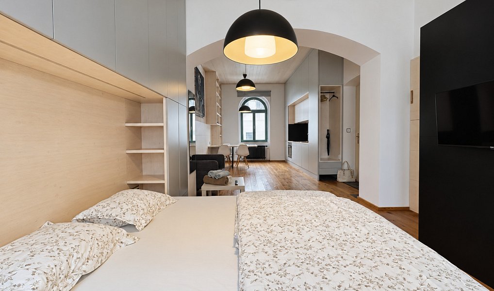 Pronájem bytu 1+kk 42 m², Plzeň – náhled fotky 2