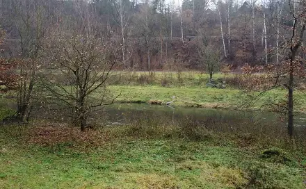 Dražba louky 8 621 m², Světlá nad Sázavou
