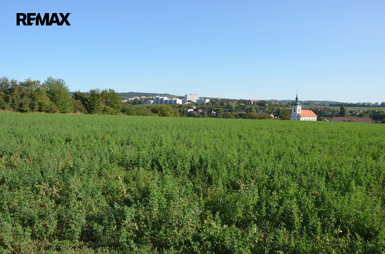 Prodej pole 3 819 m² — photo 2