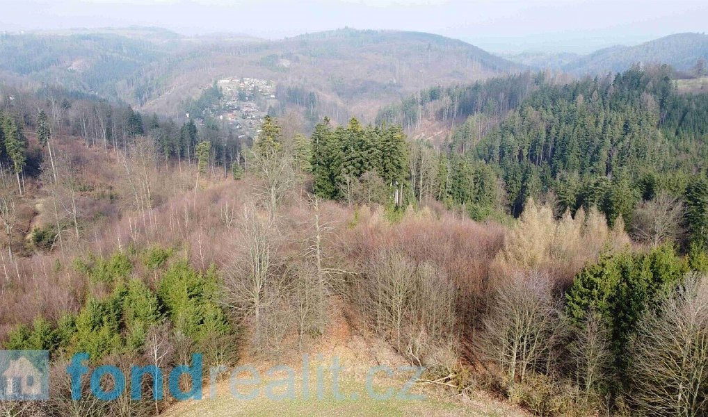 Prodej pole 7 831 m², Krchleby – náhled fotky 4
