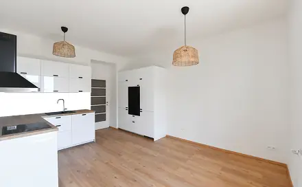 Pronájem bytu 2+1 70 m², V Horní Stromce, Praha 3 - Vinohrady