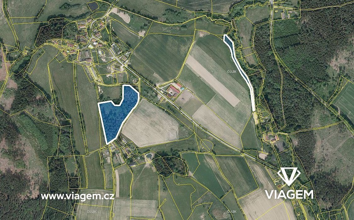 Les 16 769 m², Podíl 33 % o výměře 5 590 m² – pohled 3
