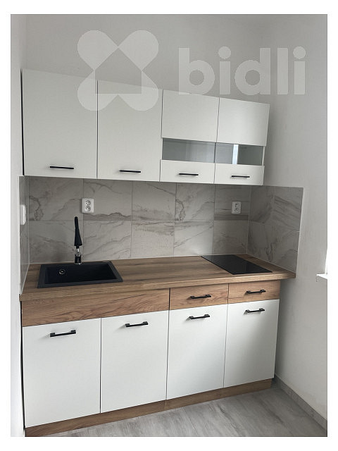 Pronájem bytu 1+1 39 m² – fotografie 5
