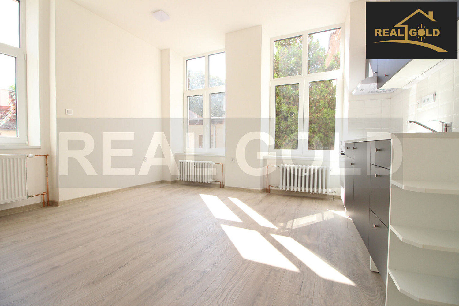 Pronájem bytu 1+kk 33 m² – fotografie 4