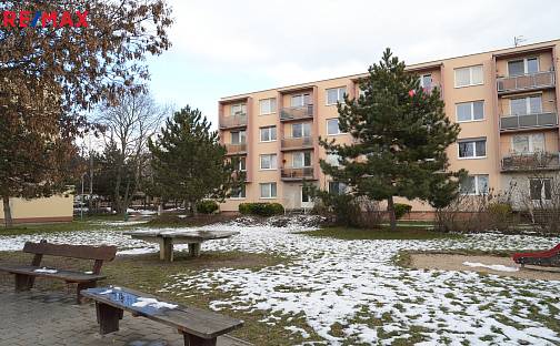 Prodej bytu 2+1 58 m², sídl. Družba, Židlochovice, okres Brno-venkov