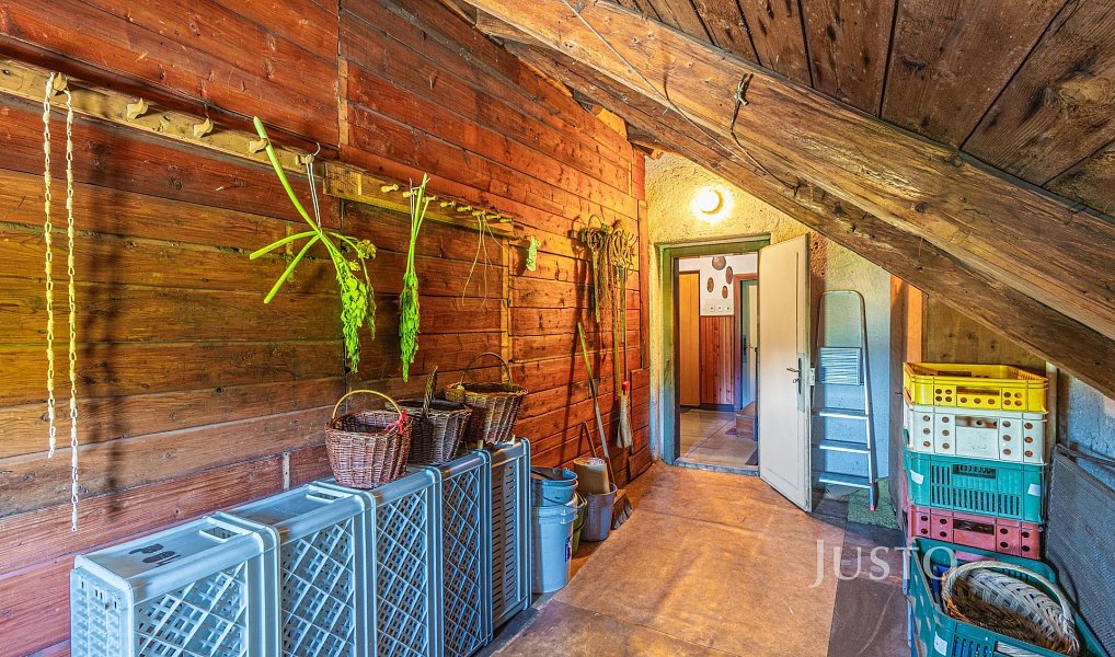 Prodej domu 203 m² s pozemkem 1 142 m², Plavy – náhled fotky 16