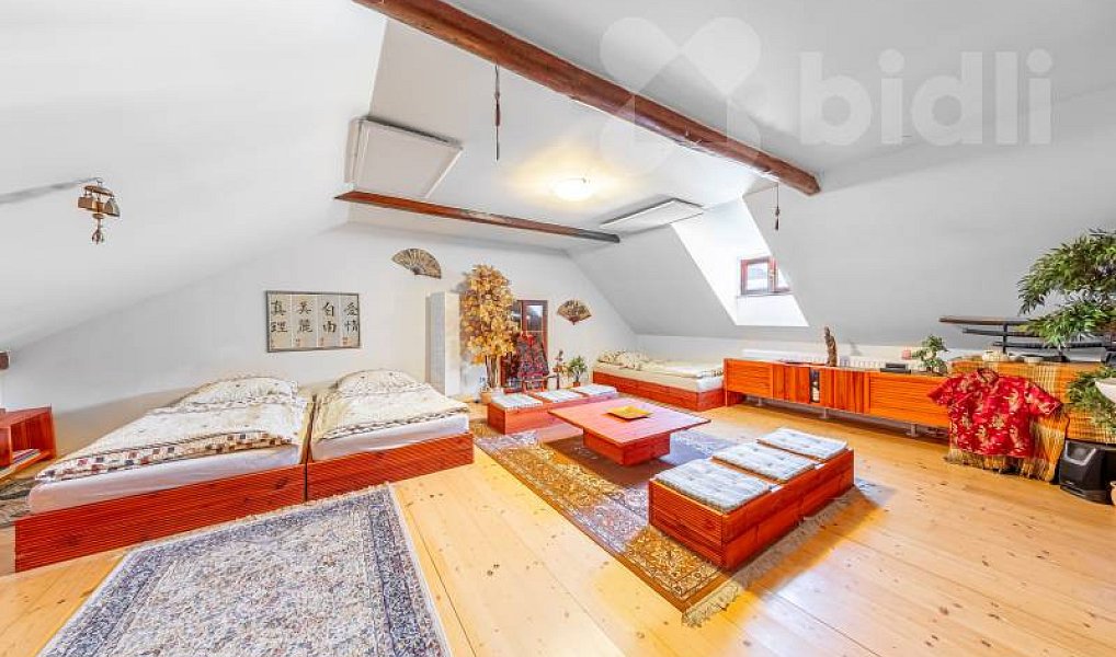 Prodej domu 388 m² s pozemkem 549 m², Paračov – náhled fotky 11