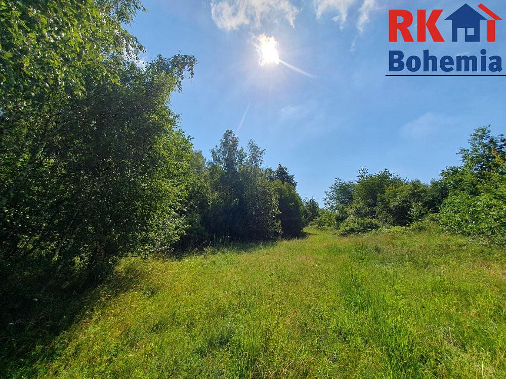Fotka 14 z 15