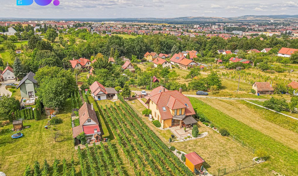 Prodej domu 206 m² s pozemkem 2 730 m², Uherské Hradiště – náhled fotky 11