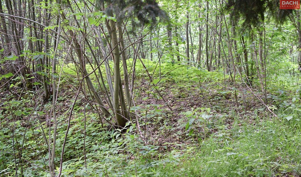 Prodej pozemku 4 584 m², Horní Heřmanice – náhled fotky 4