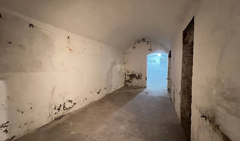 Prodej komerčního objektu (jiného typu) 235 m², Praha – náhled fotky 25