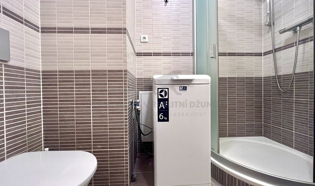 Pronájem bytu 2+kk 45 m², Praha – náhled fotky 16