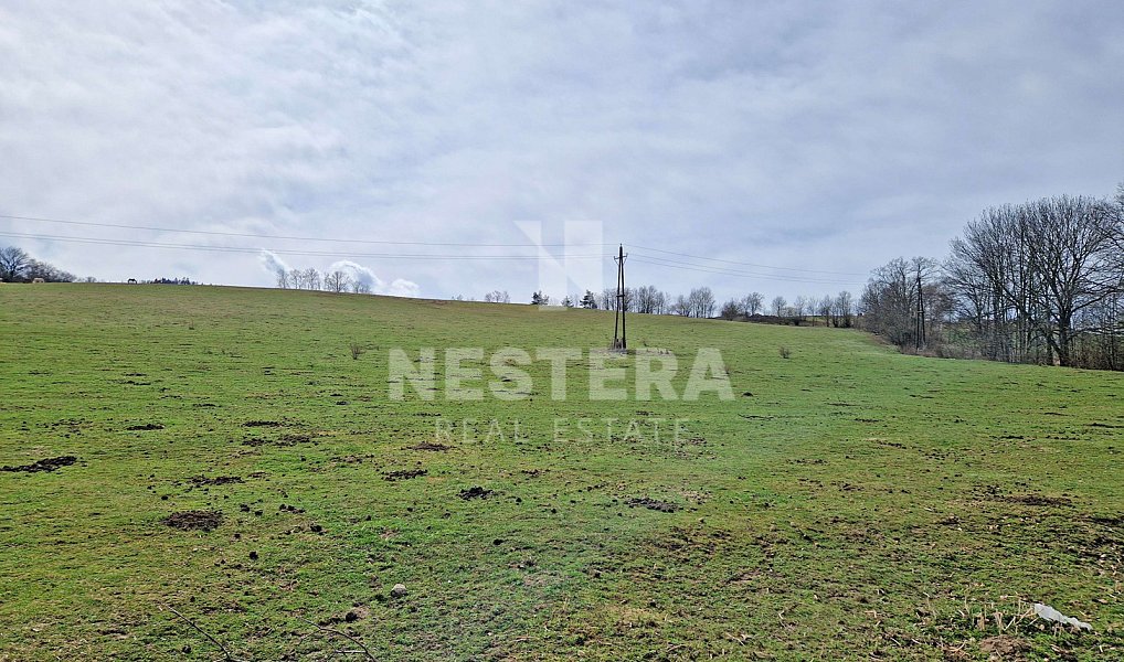 Prodej stavebního pozemku 49 574 m², Nechvalice – náhled fotky 3