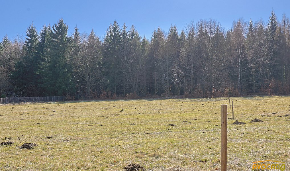 Prodej stavebního pozemku 3 162 m², Rybniště – náhled fotky 12