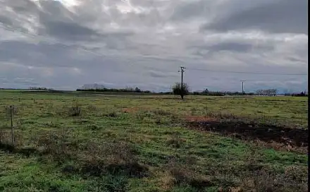Dražba pole 5 508 m², Kojetice
