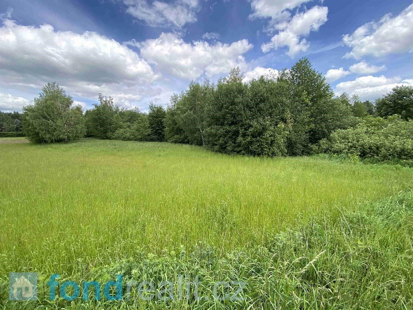 Prodej pozemku 7 893 m² – fotografie 2