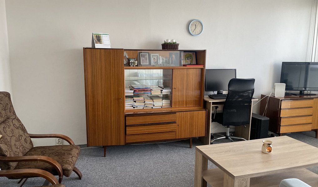 Prodej bytu 2+1 58 m², Frýdek-Místek – náhled fotky 3