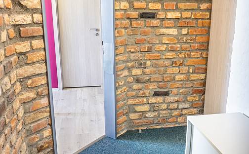 Pronájem bytu 1+kk 24 m², Křížová, Brno - Staré Brno